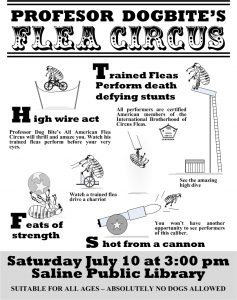 2026 Parlor Magic Show