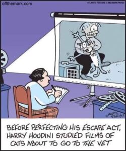 2026 Parlor Magic Show