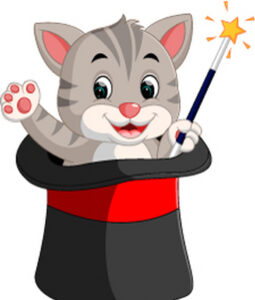 2026 Parlor Magic Show